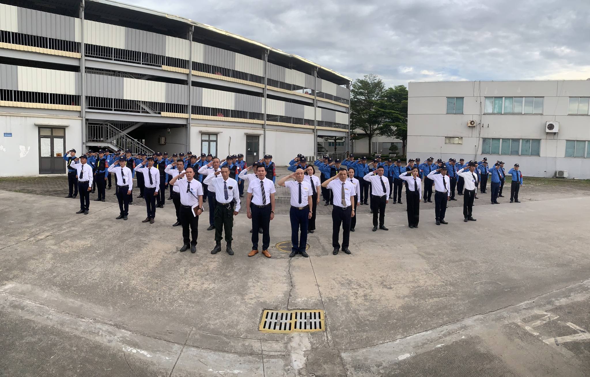 lĩnh vực hoạt động